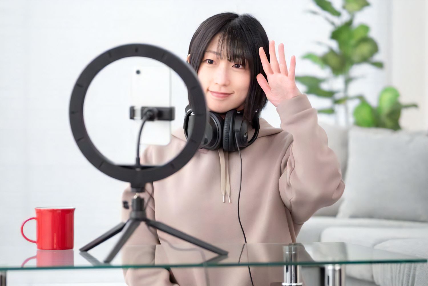 TikTokLiveエージェント事業